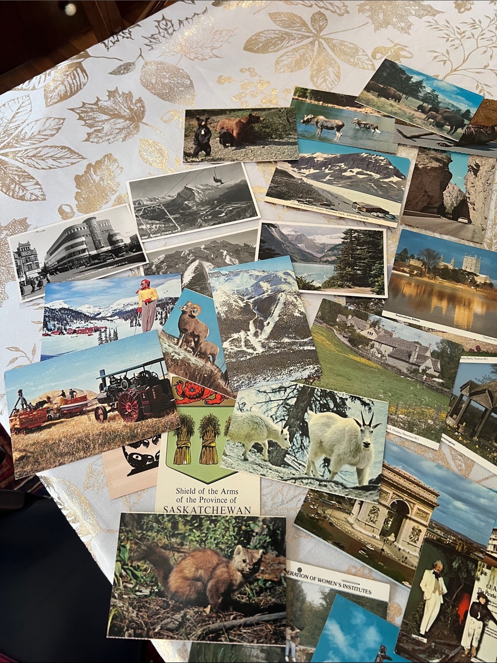 Vintage postcards. 45 in total